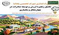 اینفو گرافی آغاز احداث شهرک تخصصی بادام در استان چهارمحال وبختیاری